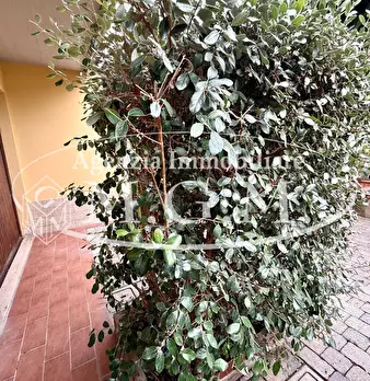 Foto annuncio 40