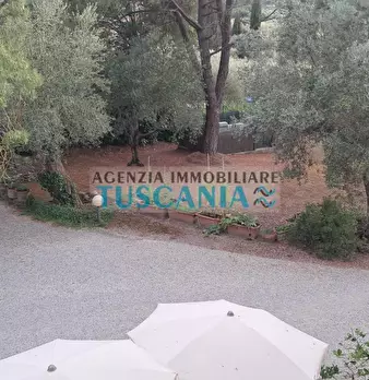 Foto annuncio 36
