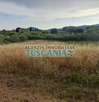 Foto annuncio 44