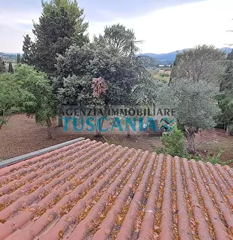 Foto annuncio 30