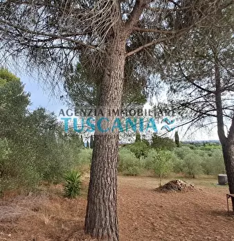 Foto annuncio 45