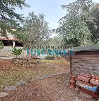 Foto annuncio 40