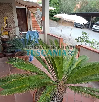 Foto annuncio 15