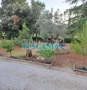 Foto annuncio 8