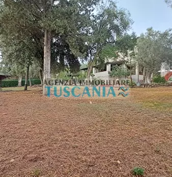 Foto annuncio 10
