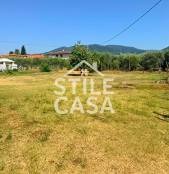 Foto annuncio 31