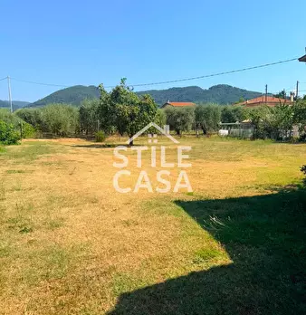 Foto annuncio 37