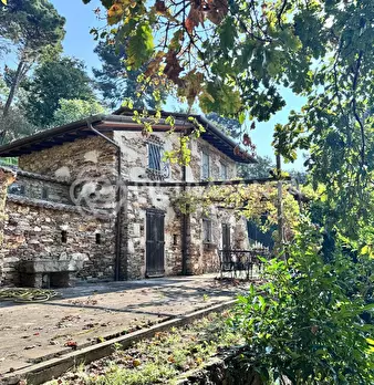 Foto annuncio 56
