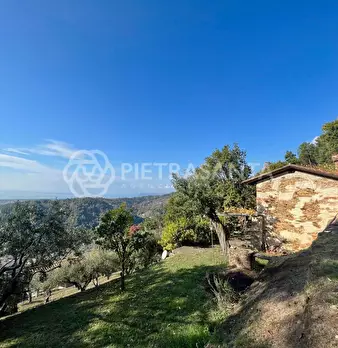 Foto annuncio 16