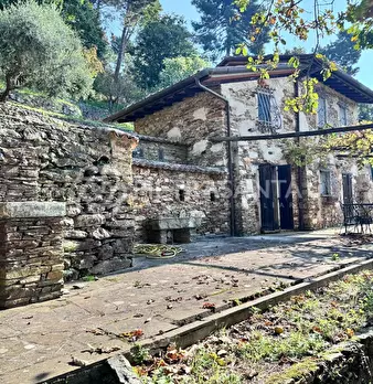 Foto annuncio 39