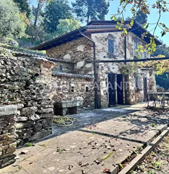 Foto annuncio 40