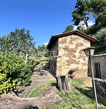 Foto annuncio 45