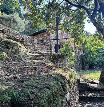 Foto annuncio 38