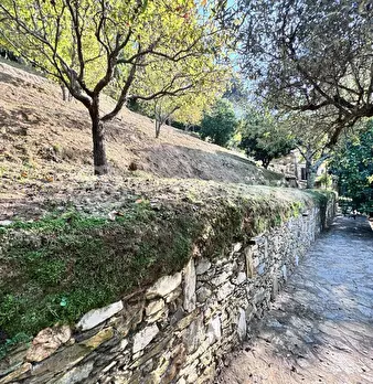 Foto annuncio 37