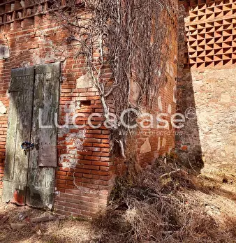 Foto annuncio 20