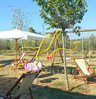 Foto annuncio 3