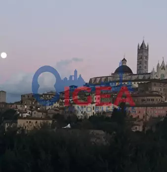 Foto annuncio 31