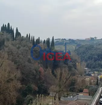 Foto annuncio 32