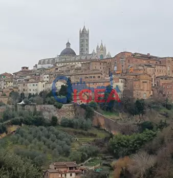 Foto annuncio 33