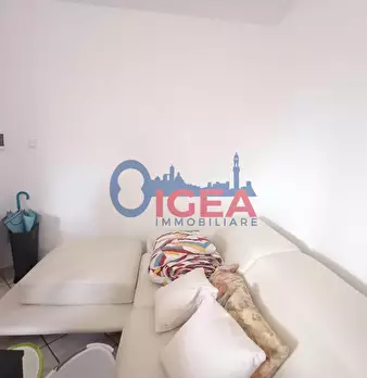 Foto annuncio 15