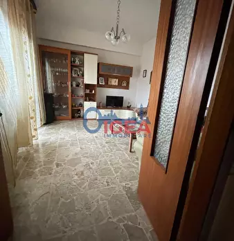 Foto annuncio 36