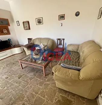 Foto annuncio 12