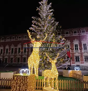 Foto annuncio 12