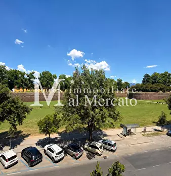 Foto annuncio 23