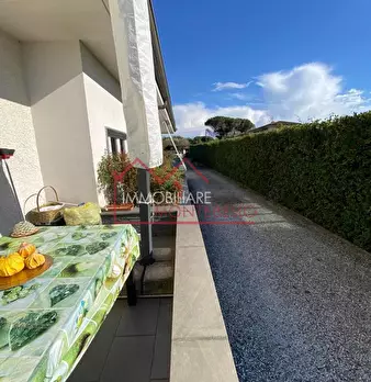Foto annuncio 7