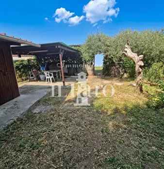 Foto annuncio 2