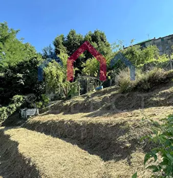 Foto annuncio 38