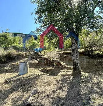 Foto annuncio 37