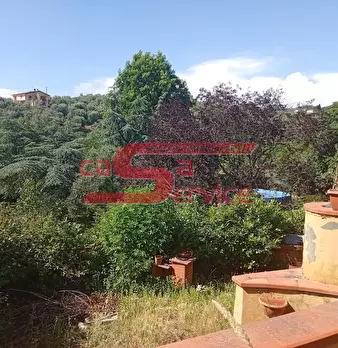Foto annuncio 7