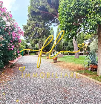 Foto annuncio 26