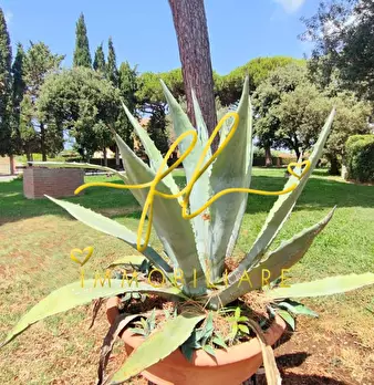 Foto annuncio 25