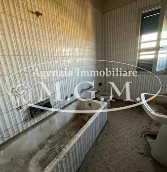 Foto annuncio 10