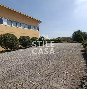 Foto annuncio 28