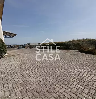 Foto annuncio 29