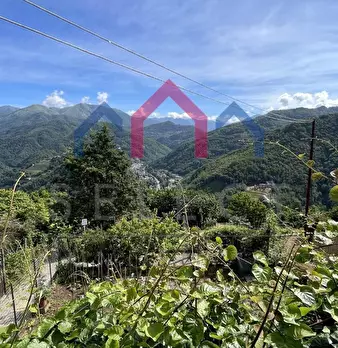 Foto annuncio 43