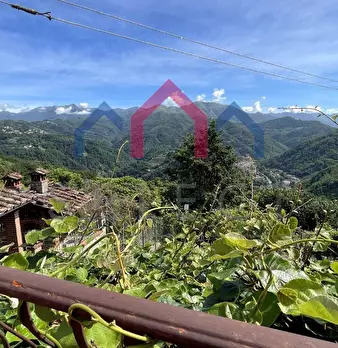 Foto annuncio 44