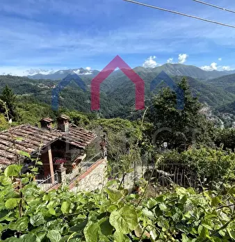 Foto annuncio 45