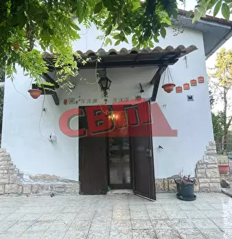 Foto annuncio 6