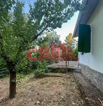 Foto annuncio 43
