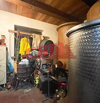 Foto annuncio 29