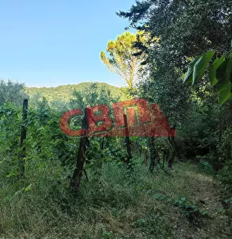 Foto annuncio 45
