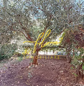 Foto annuncio 20