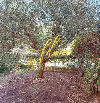 Foto annuncio 19