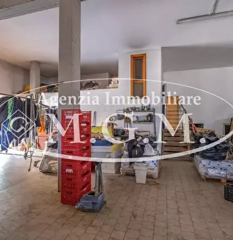 Foto annuncio 62