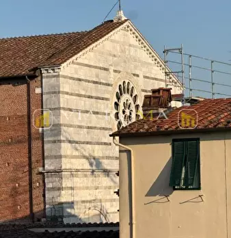Foto annuncio 12