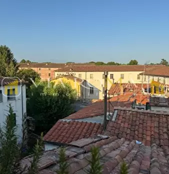Foto annuncio 7